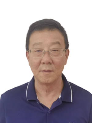 史衍磊，總工程師，高工